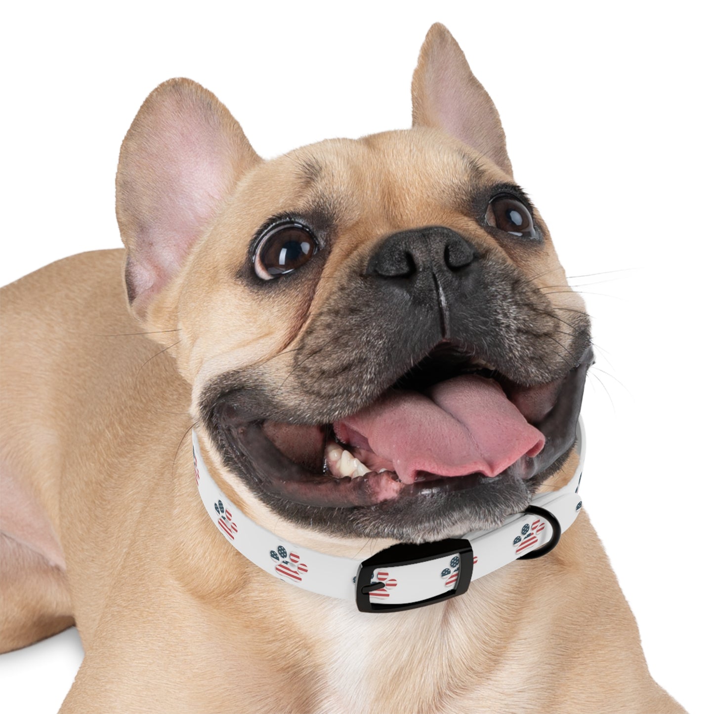 American Flag Paw Print Dog Collar | American Camping Pets, Patriotic Pet Collar