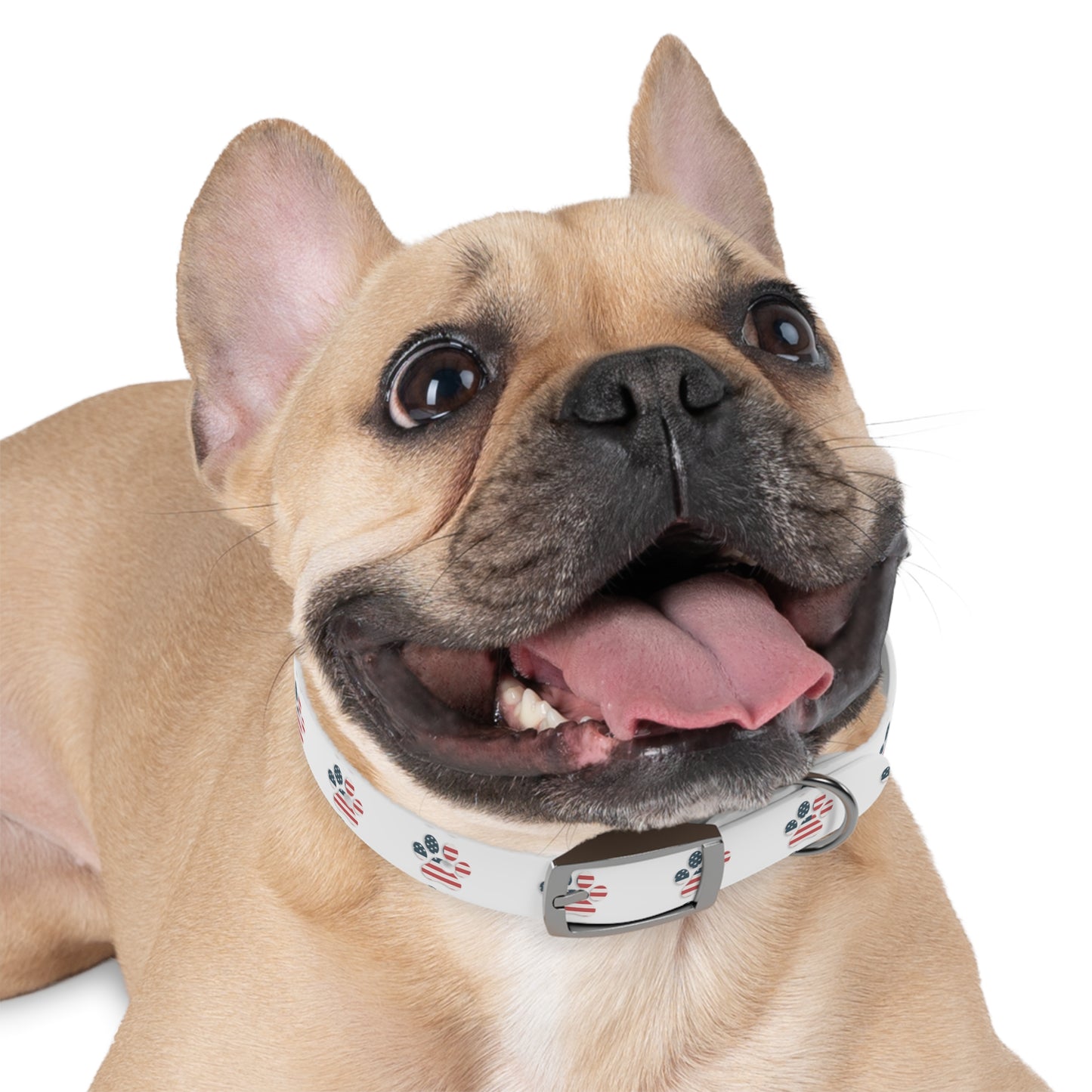 American Flag Paw Print Dog Collar | American Camping Pets, Patriotic Pet Collar