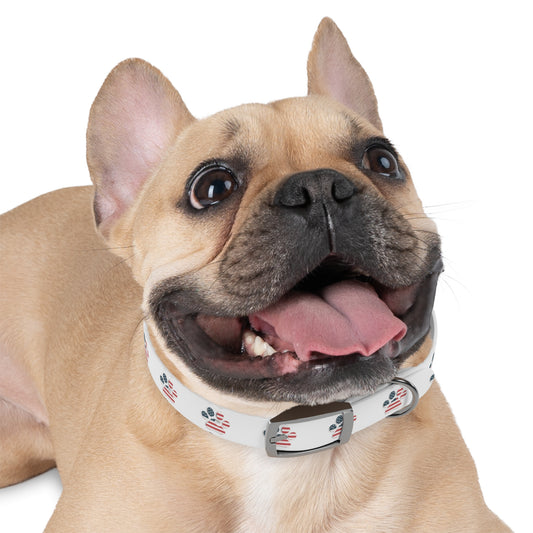 American Flag Paw Print Dog Collar | American Camping Pets, Patriotic Pet Collar
