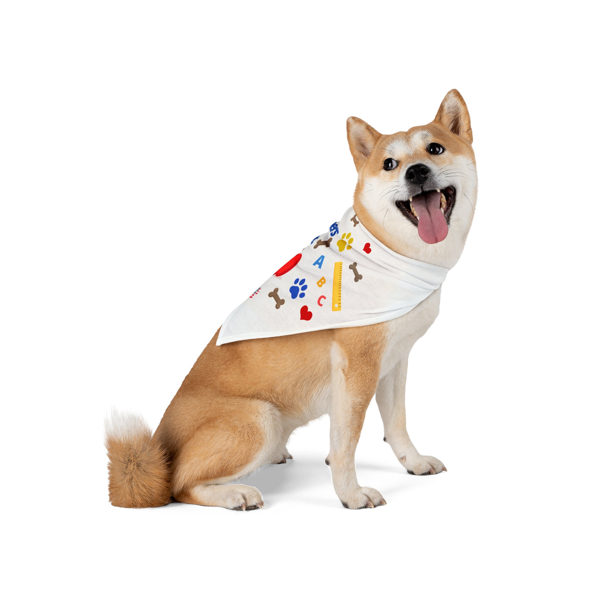 Teacher's Pet Bandana - Large