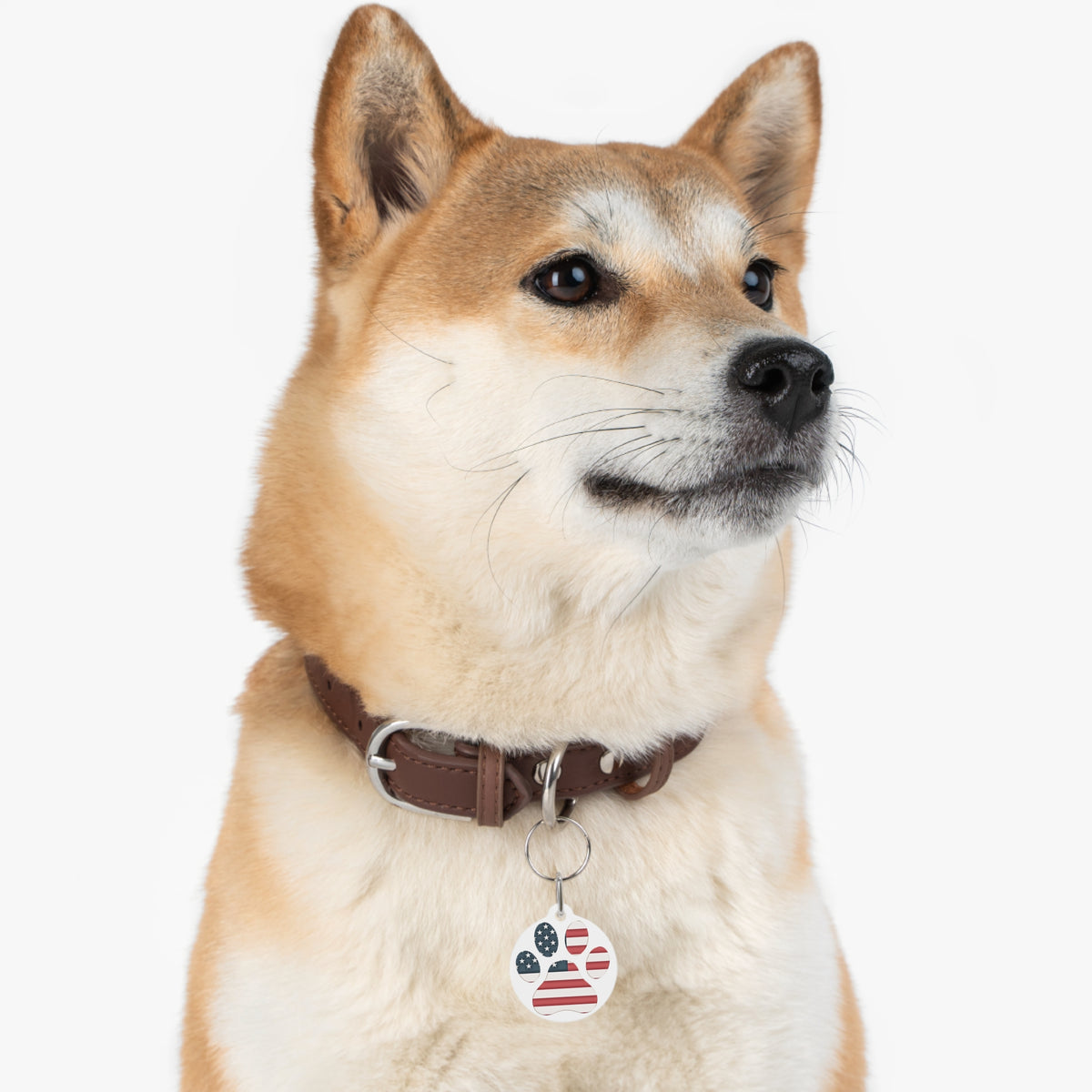 American Flag Paw Print Pet Tag