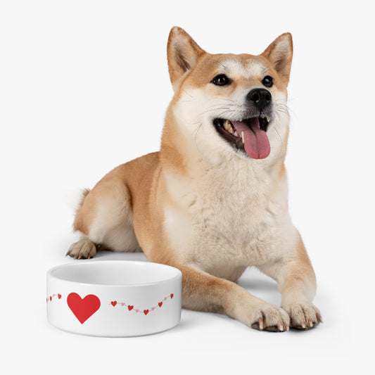 Heart Pattern Pet Bowl