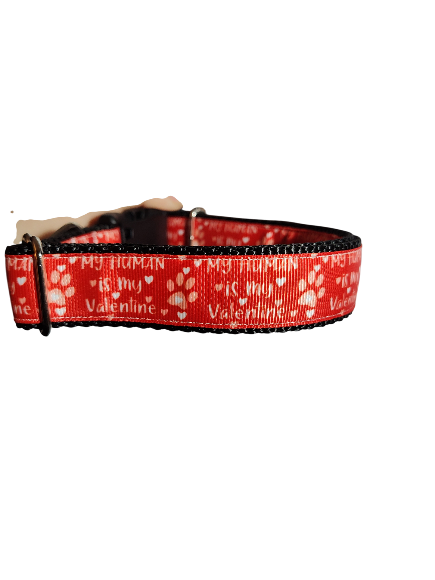 My Human Is My Valentine Nylon Dog Collar